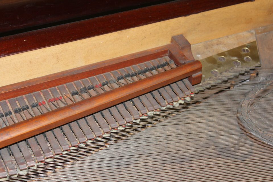 Scherr strings, bridge & dampers