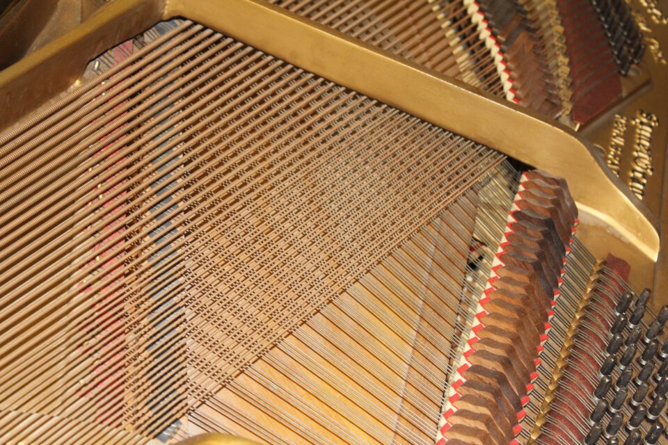 Mathushek spinet grand piano - strings