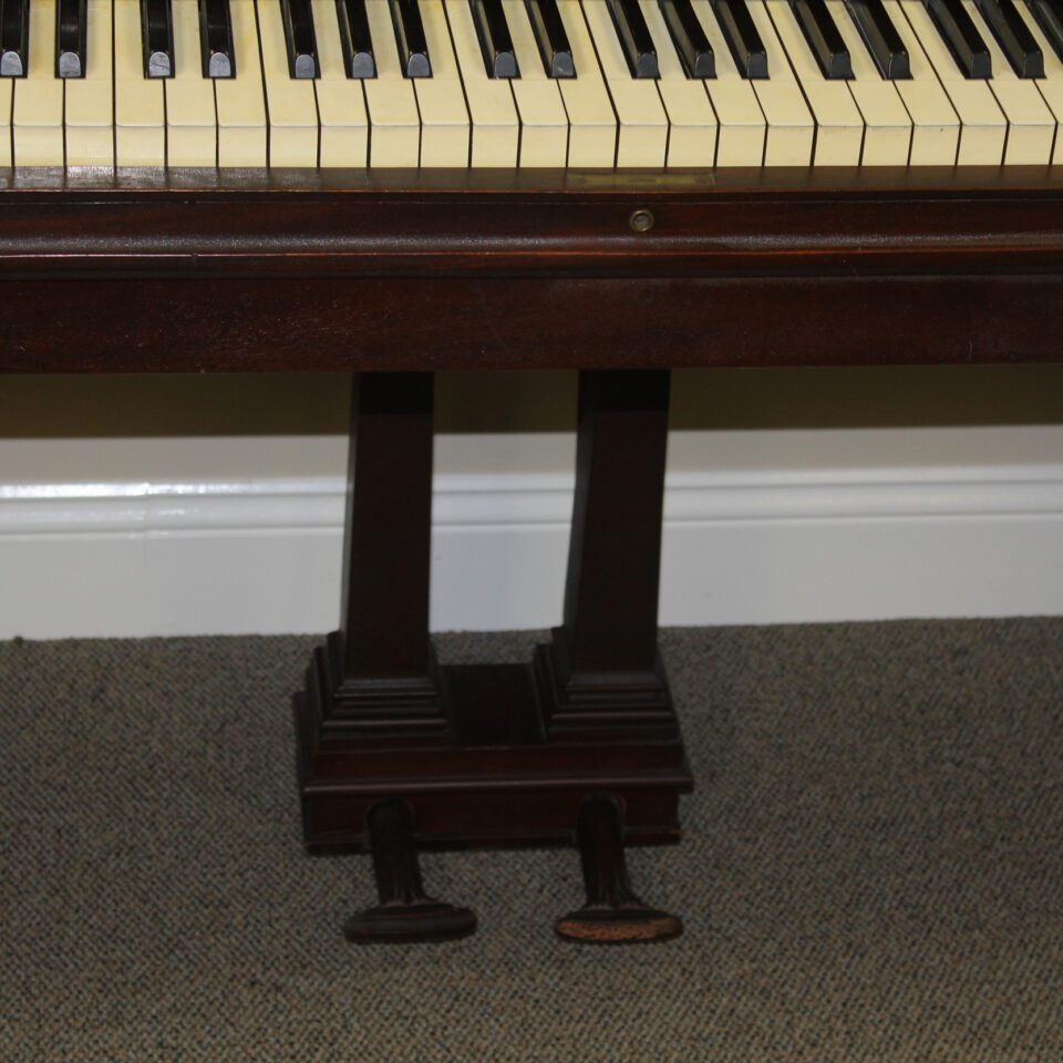 Frank Teupe "Giraffe" piano pedal and keys