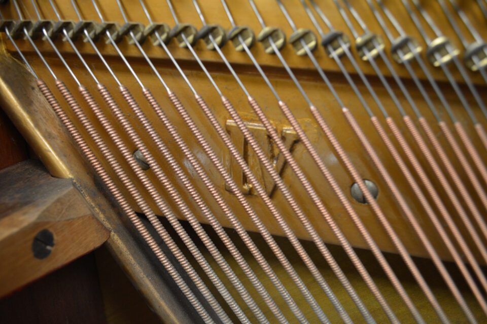 Bechstein upright bass strings